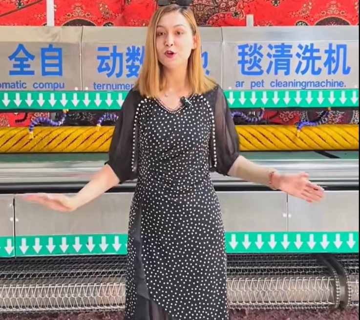 Проект завода по чистке ковров в Казахстане